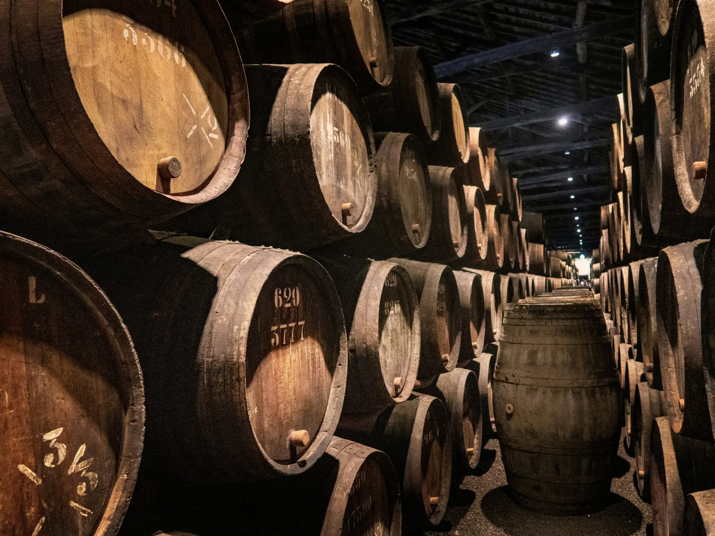 Rows of barrels under the curved brick roof of an arched cellar