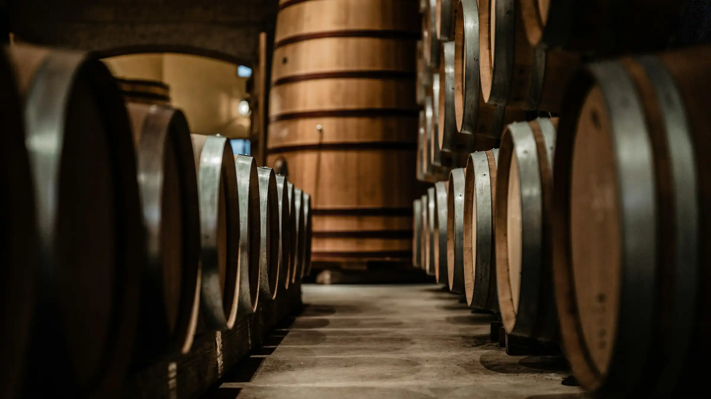 A large hall lined with oak barrels