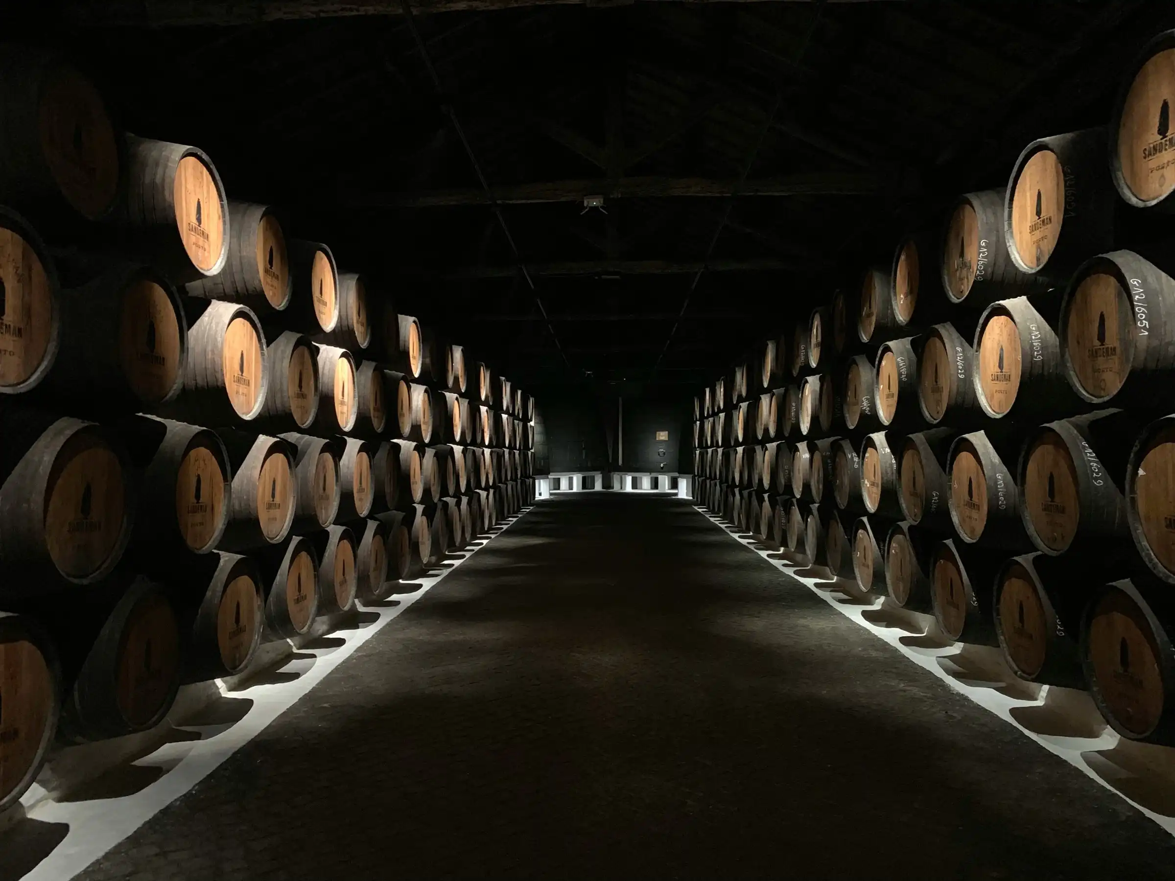 A long cellar lined with barrels, lit at the far end